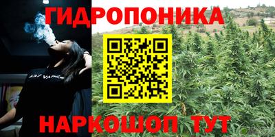 jwh Вязьма