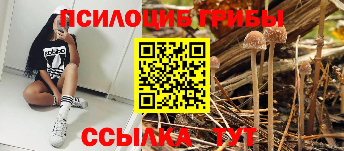 Астрахань  Галлюциногенные грибы прущие грибы  Вход с VPN  Псилоцибиновые грибы Magic Shrooms 